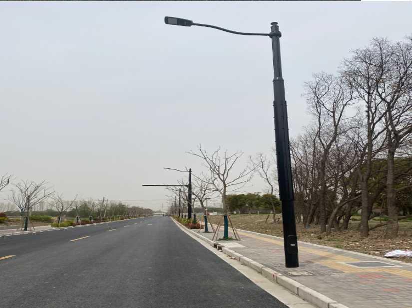 沿河土家族自治县上海综合杆 太阳能路灯工程